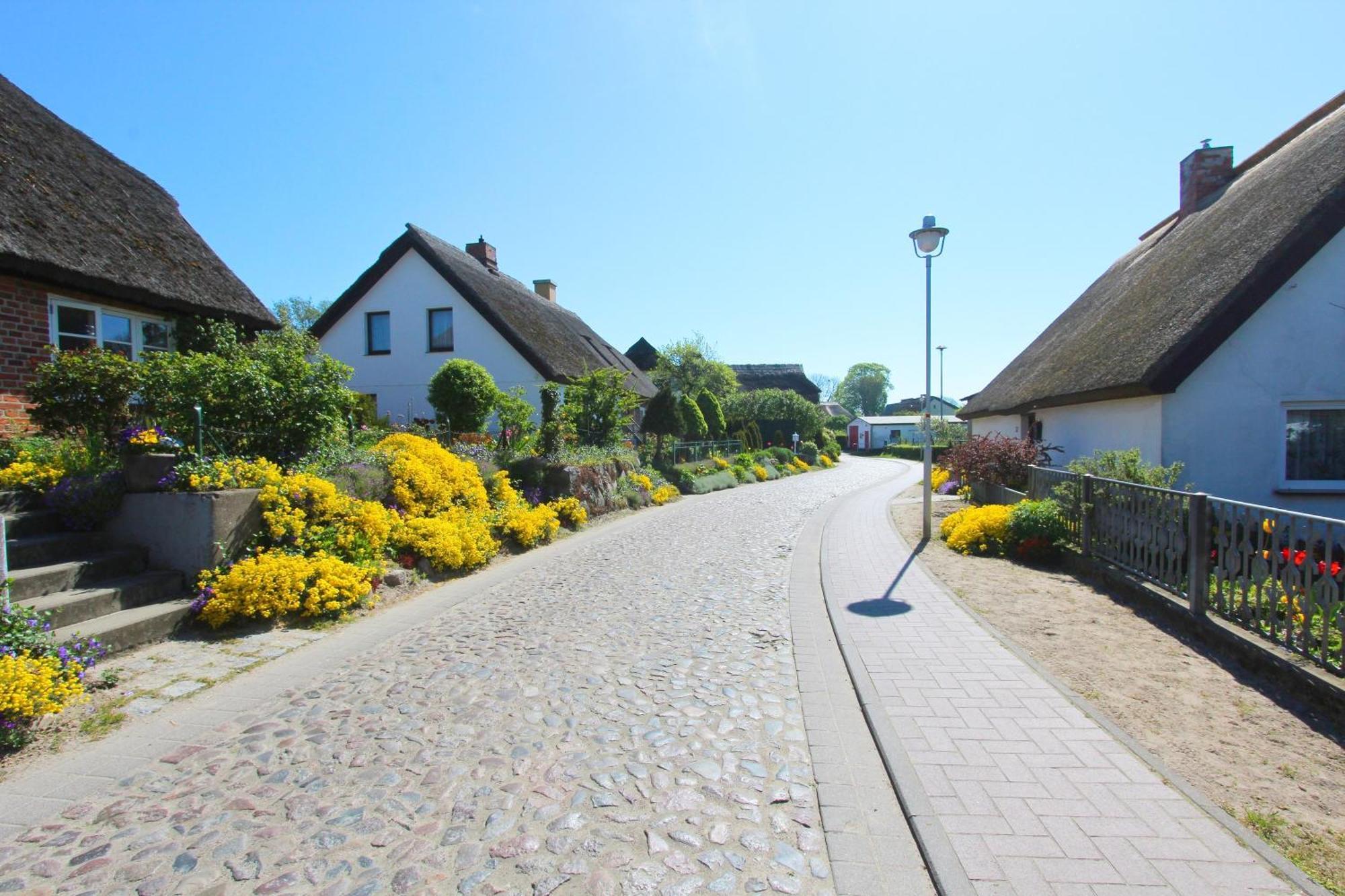 Ferienhaus Distelfink Fewo 04 Terrasse, Meerblick Groß Zicker Kültér fotó